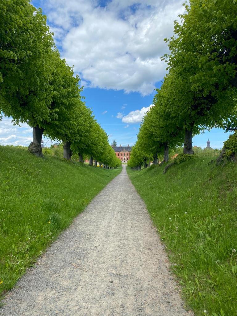 Ferienwohnung Uta Grundshagen Esterno foto