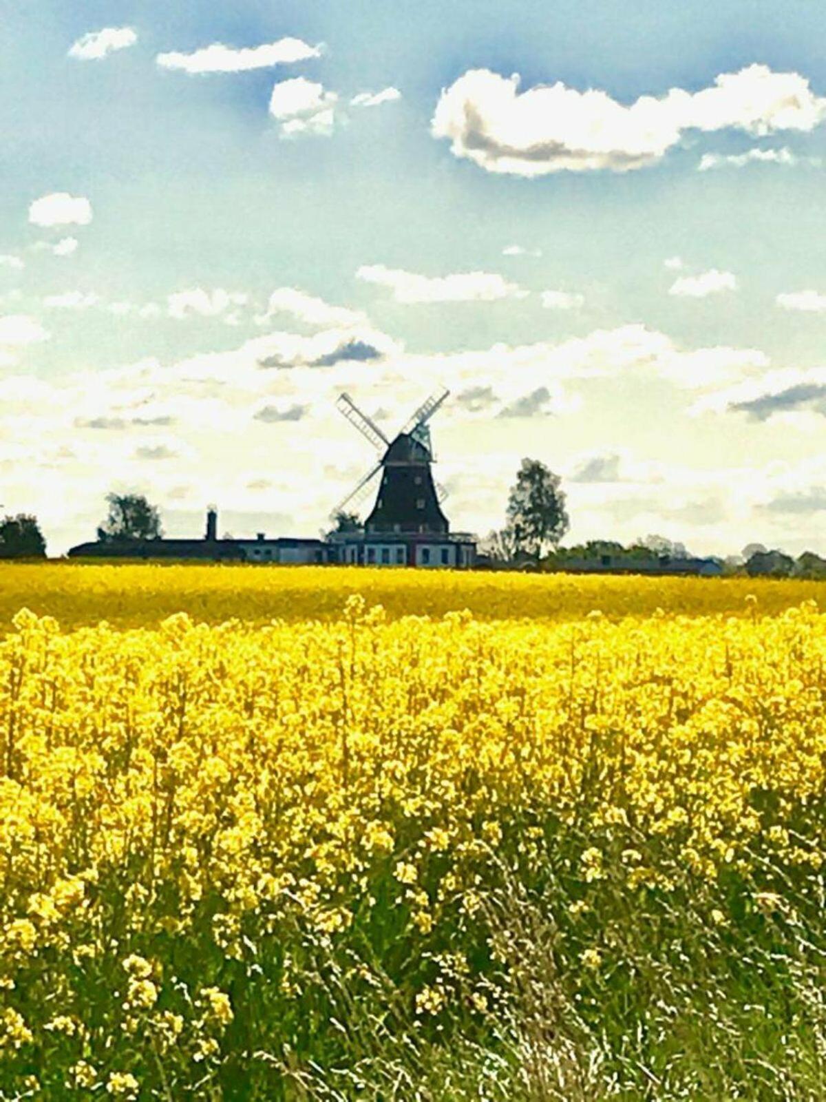 Ferienwohnung Uta Grundshagen Esterno foto